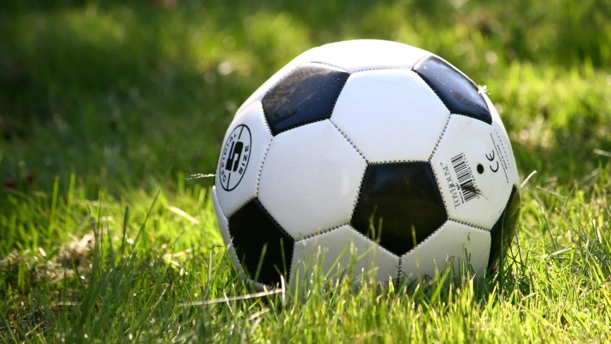 pelota de fútbol (AnnRos/Pixabay)